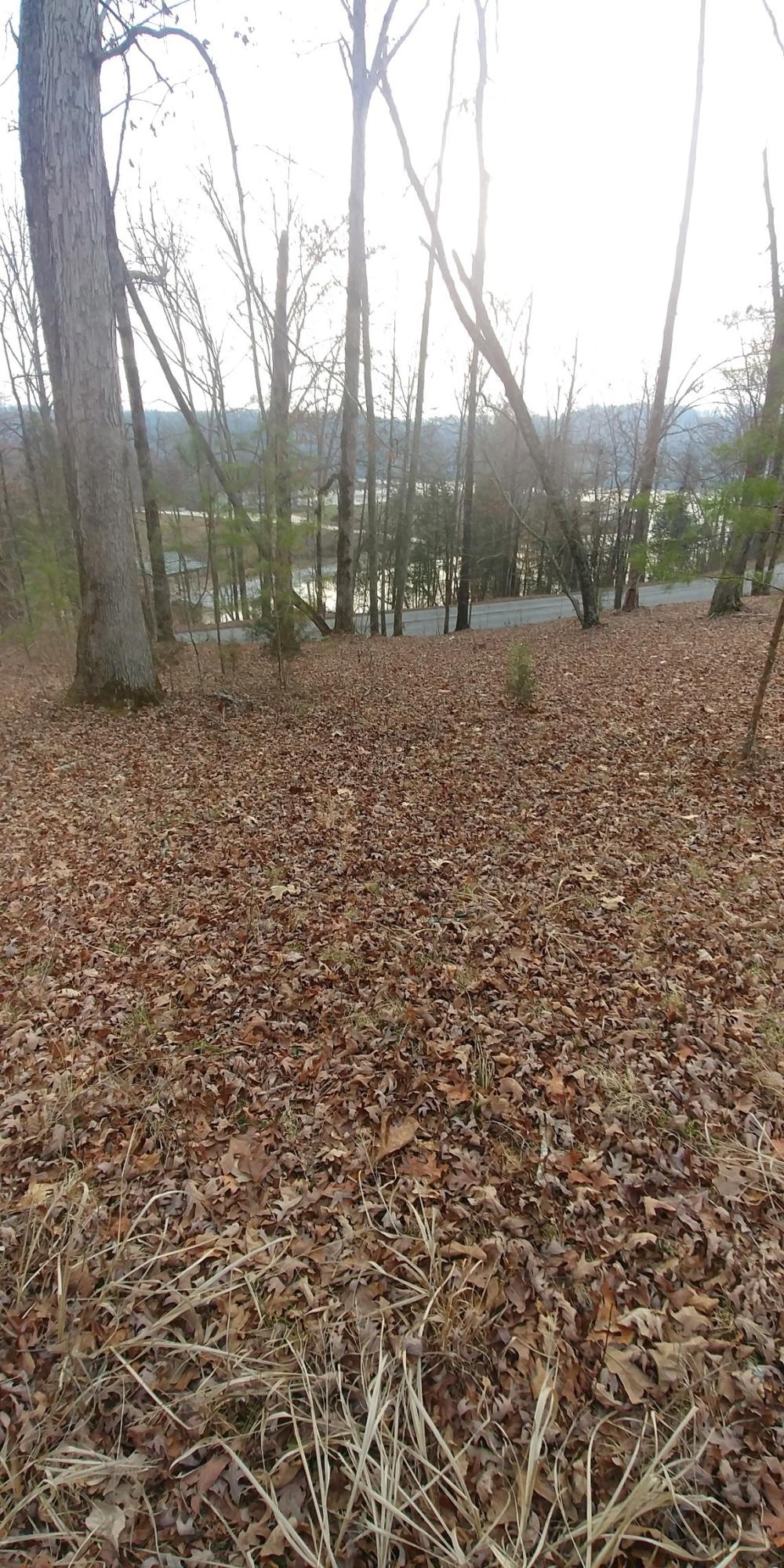 Lot 16 Waterview Dr Spring Spring City, TN 37381 - Photo 5 of 5 waterview from back of lot