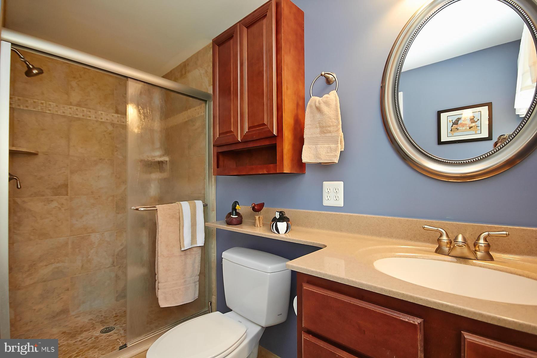 9550 Ritter Road Nokesville, VA 20181 - Photo 16 of 30 Bath (Master)