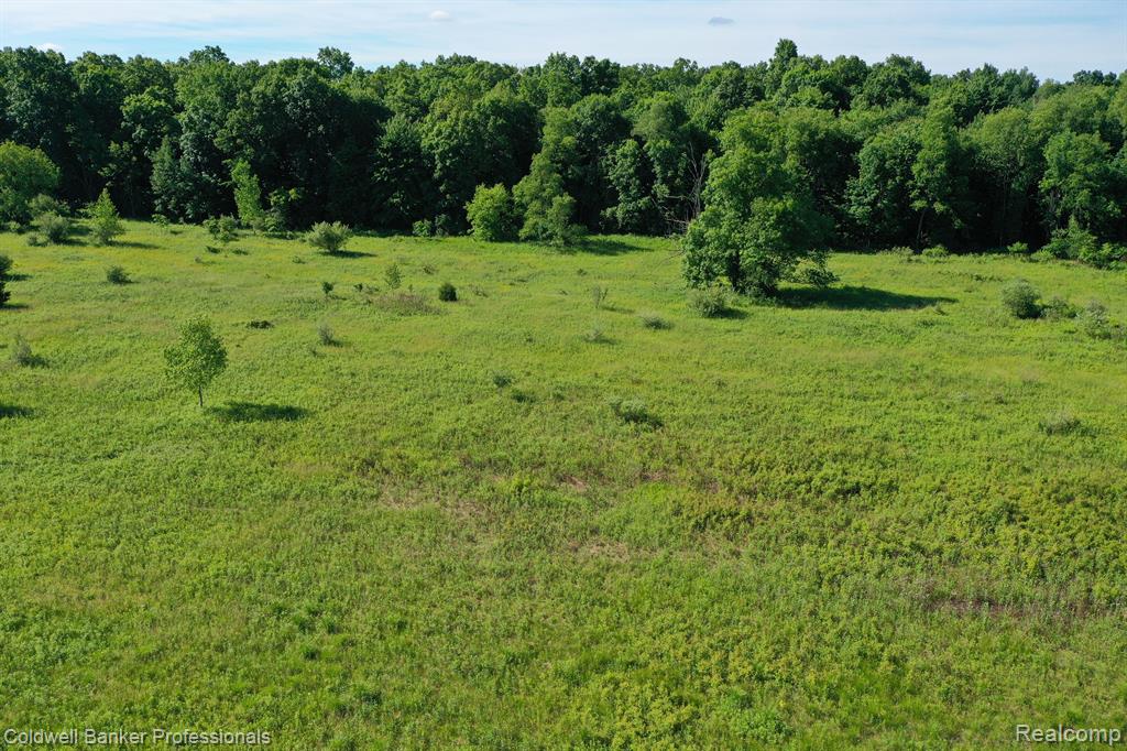0 East Holly Road Holly, MI 48442 - Photo 8 of 12 Gallery Image 8