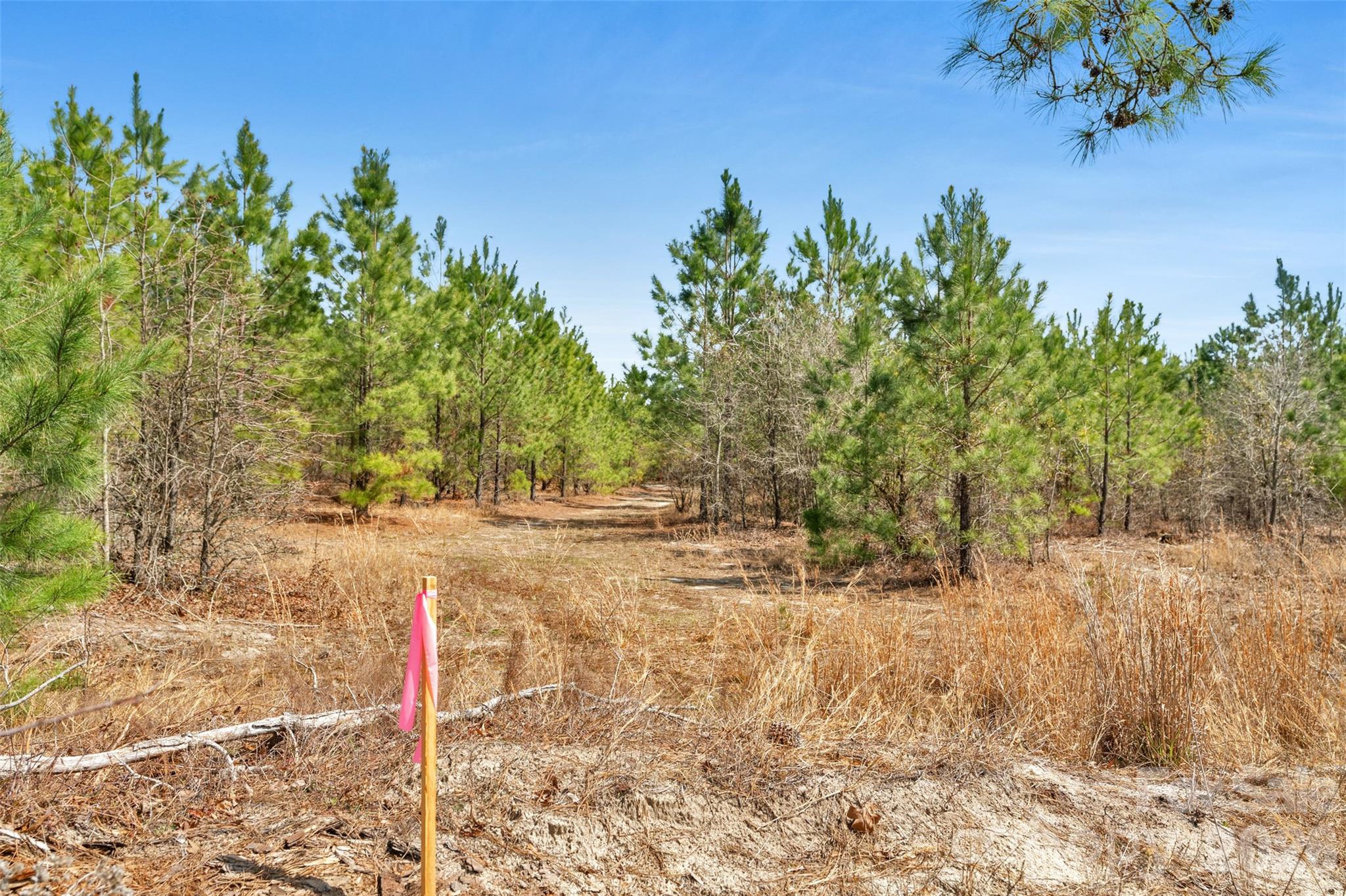 931 Charlie Johnson Road, Unit 7 Kershaw, SC 29067 - Photo 34 of 34