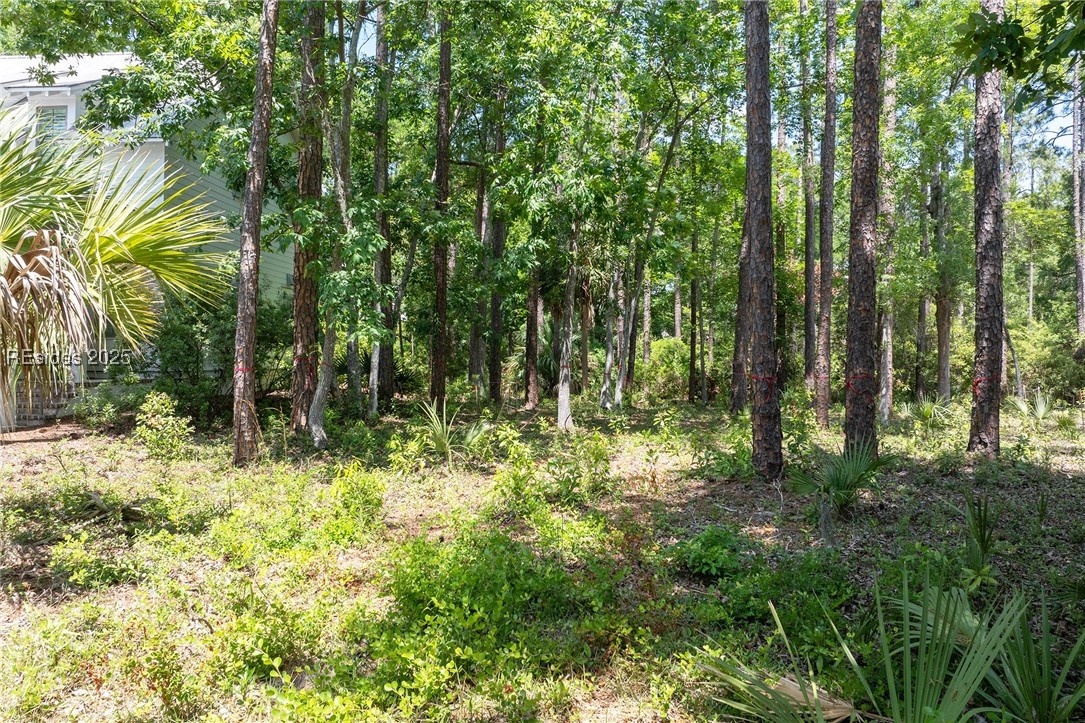 4 Refuge Street Bluffton, SC 29910 - Photo 15 of 16