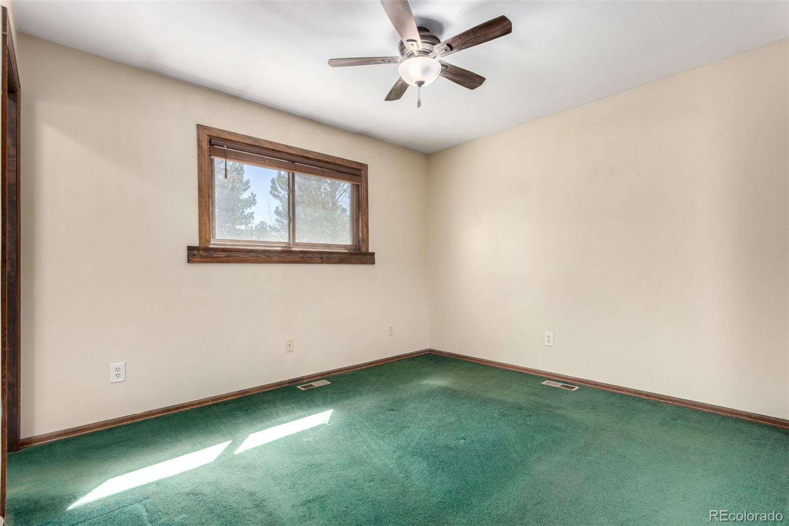 116 Schooley Road Bailey, CO 80421 - Photo 25 of 50