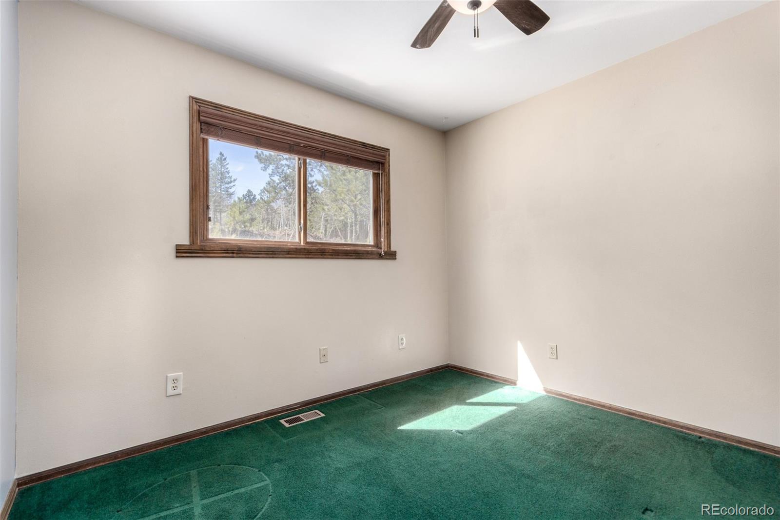 116 Schooley Road Bailey, CO 80421 - Photo 33 of 50