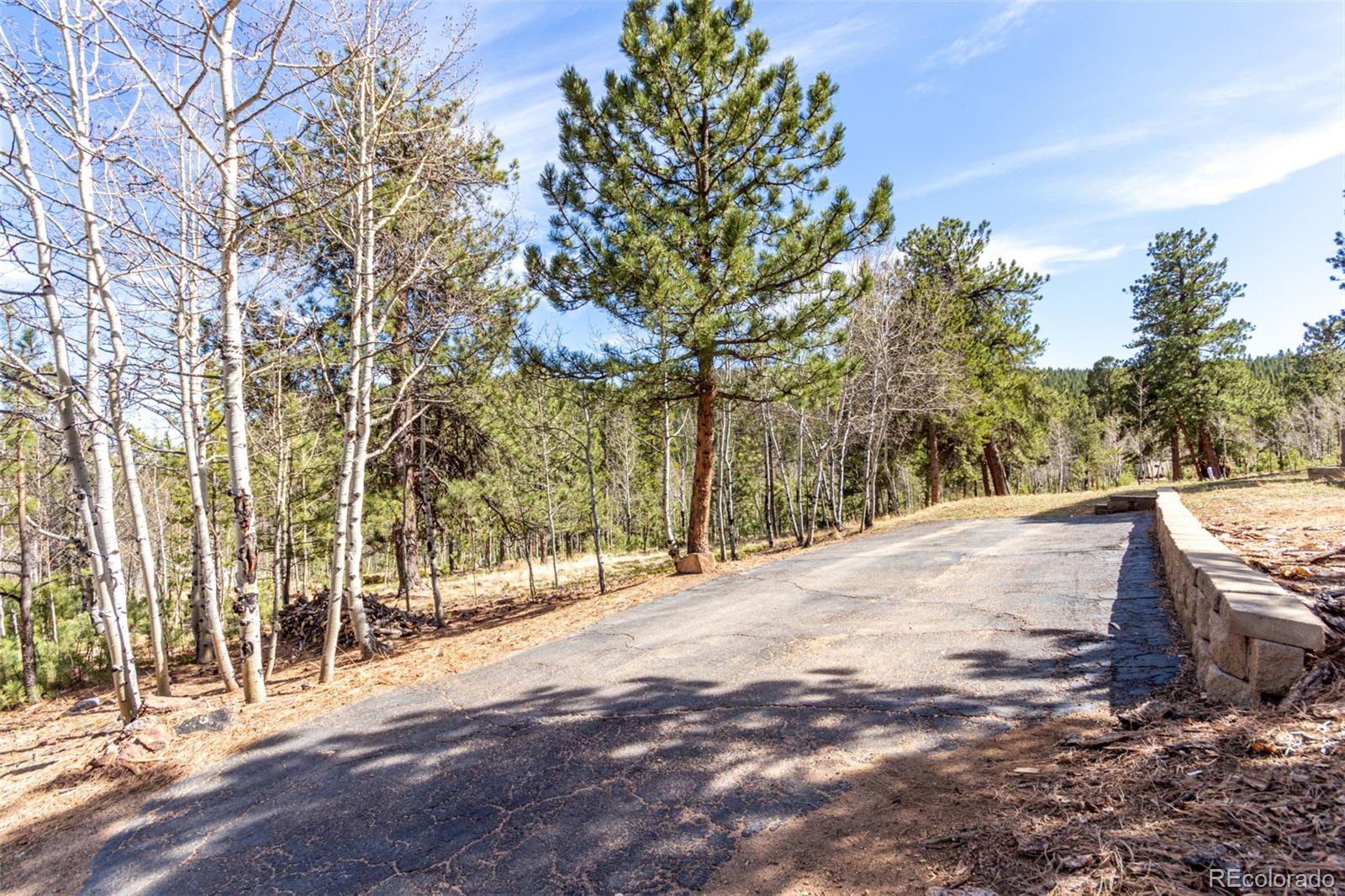 116 Schooley Road Bailey, CO 80421 - Photo 41 of 50