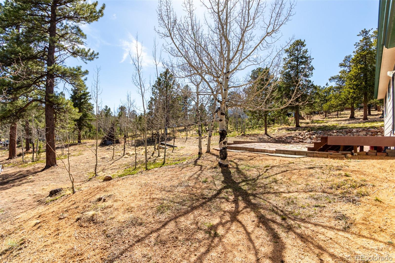 116 Schooley Road Bailey, CO 80421 - Photo 45 of 50