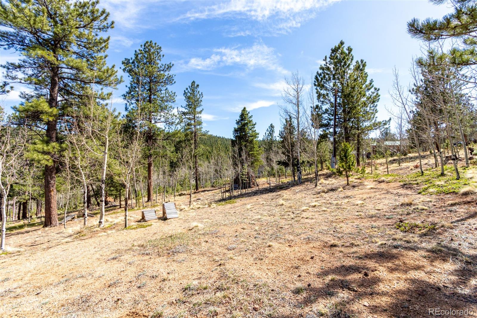 116 Schooley Road Bailey, CO 80421 - Photo 50 of 50