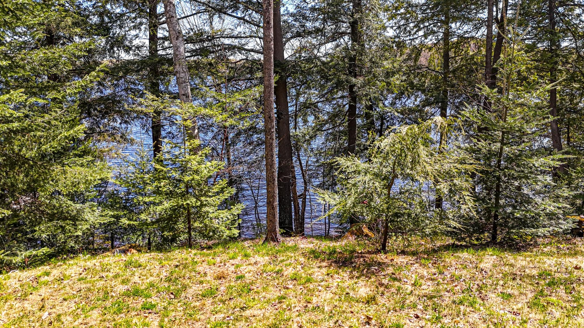 7824 Crab Lake Road Presque Isle, WI 54557 - Photo 9 of 50 Gallery Image 9