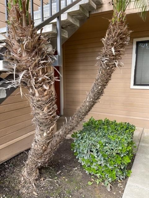 7675 North First Street, Unit 138 Fresno, CA 93720 - Photo 5 of 33