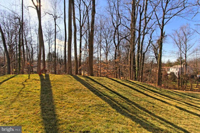4007 Hummer Road Annandale, VA 22003 - Photo 30 of 30 Back Yard