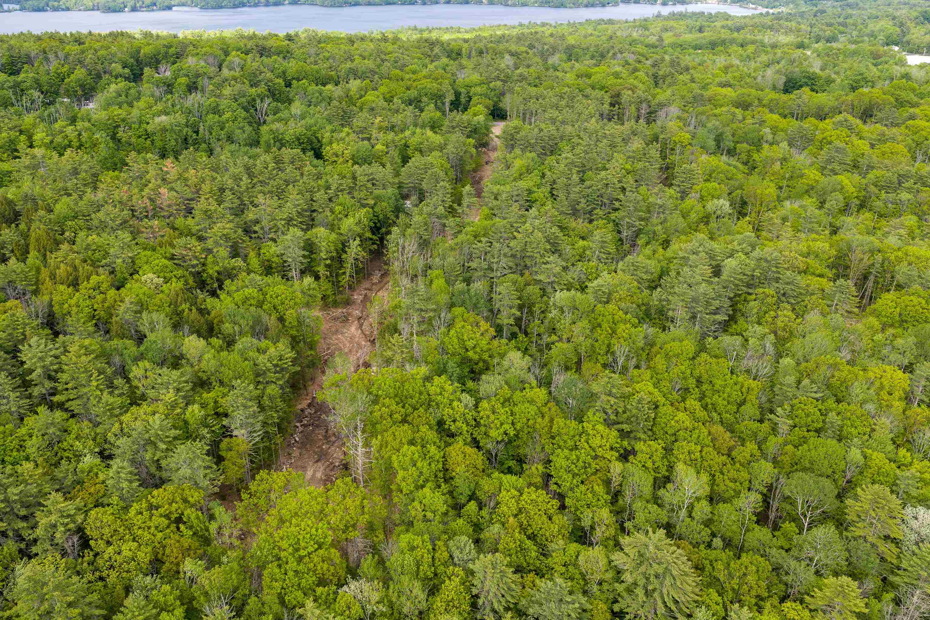 Lot 1 Winona Road Meredith, NH 03253 - Photo 15 of 16