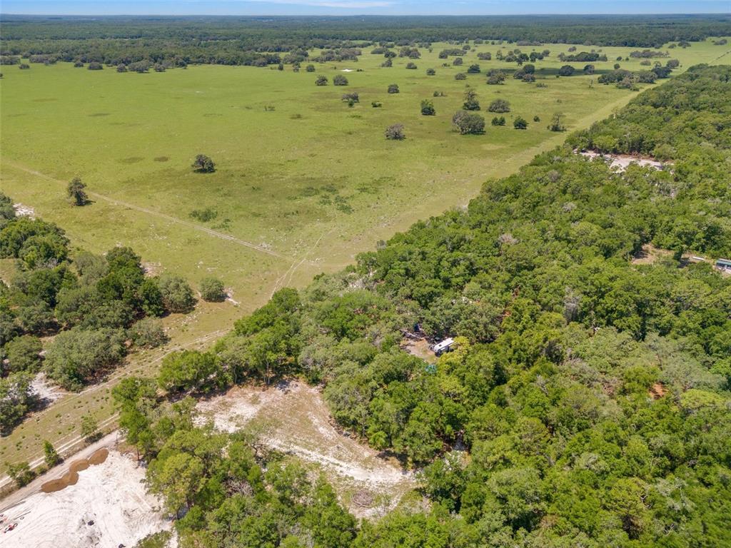 10297 Southwest 160th Street Dunnellon, FL 34432 - Photo 13 of 19