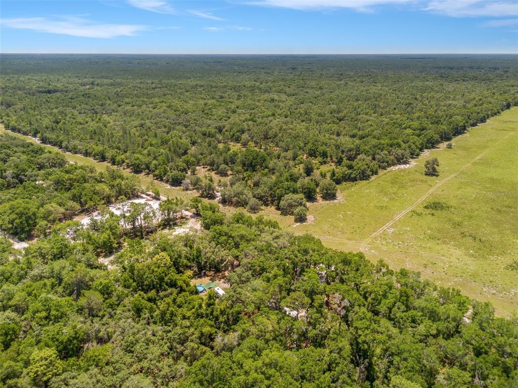 10297 Southwest 160th Street Dunnellon, FL 34432 - Photo 15 of 19