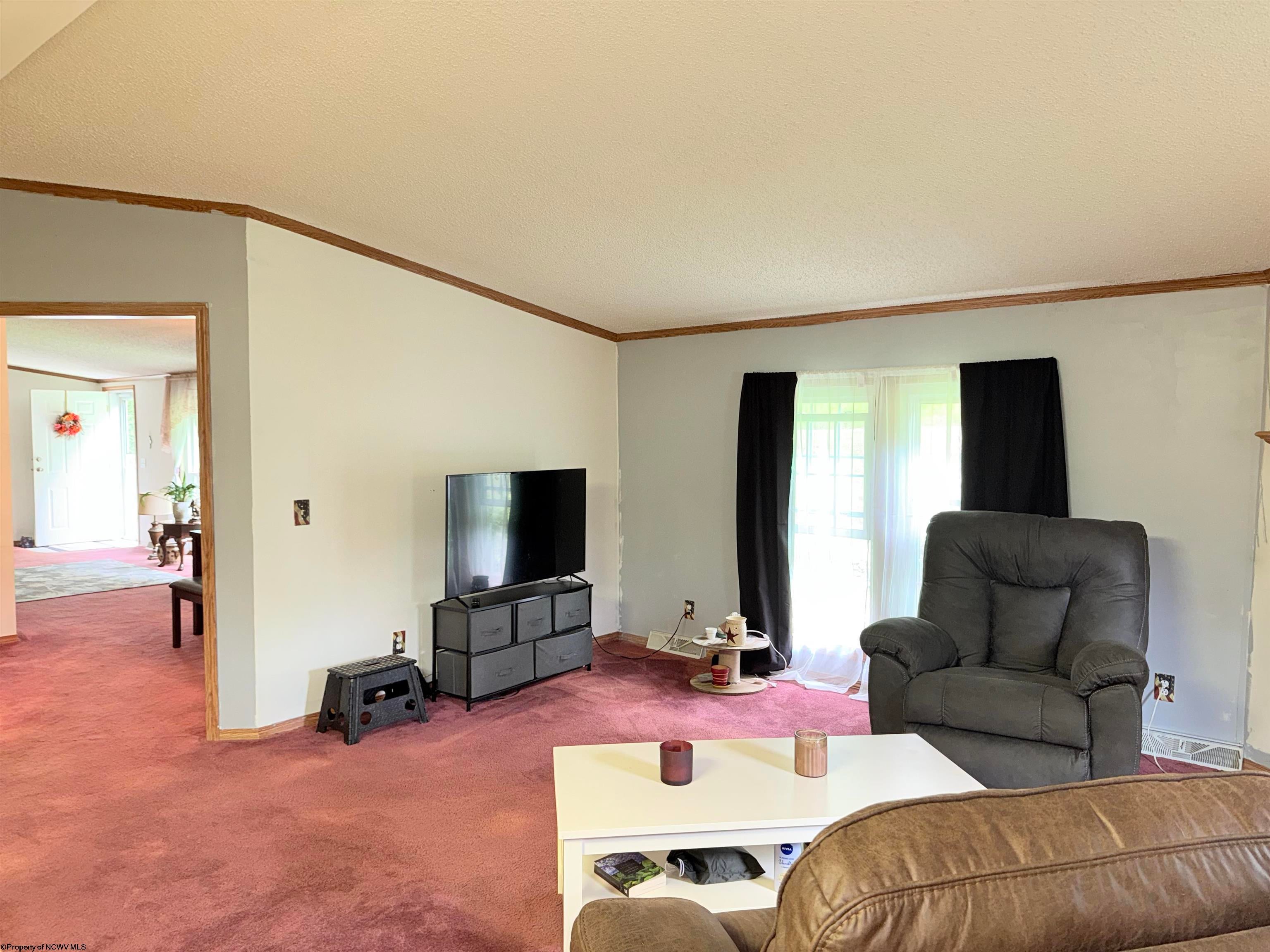 1689 Bell Crouch Road Huttonsville, WV 26273 - Photo 8 of 26 Gallery Image 8