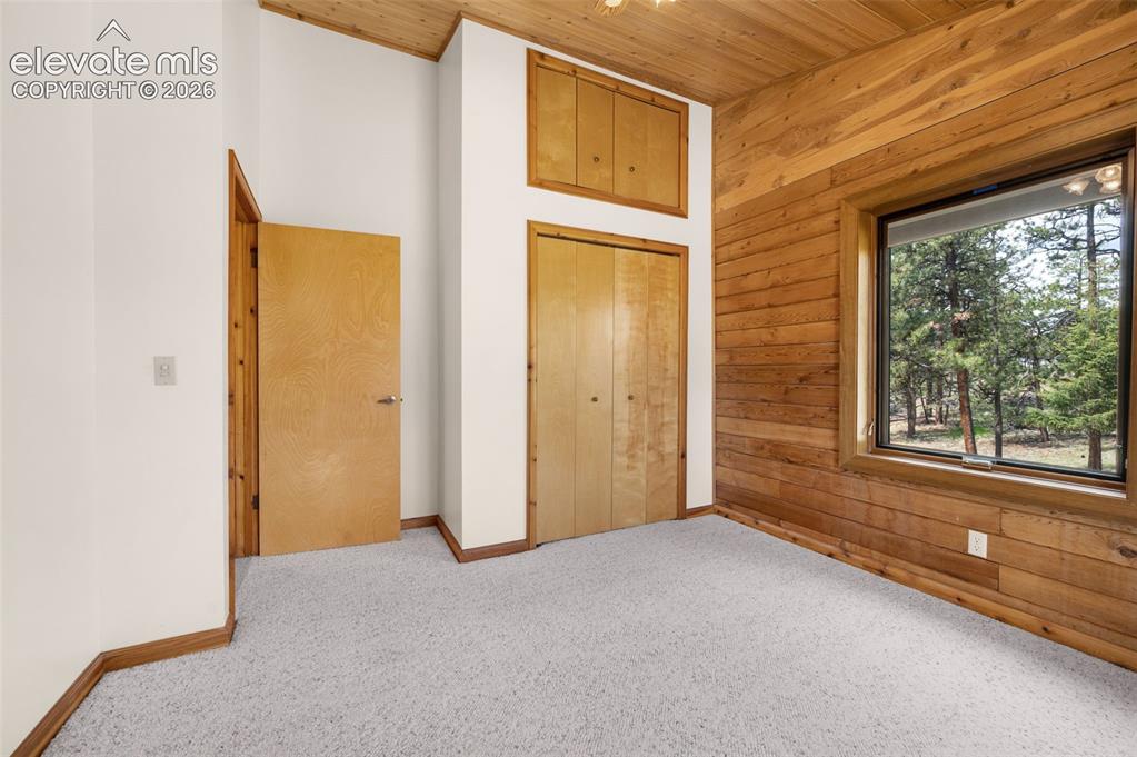 187 Thunder Ridge Road Florissant, CO 80816 - Photo 26 of 46