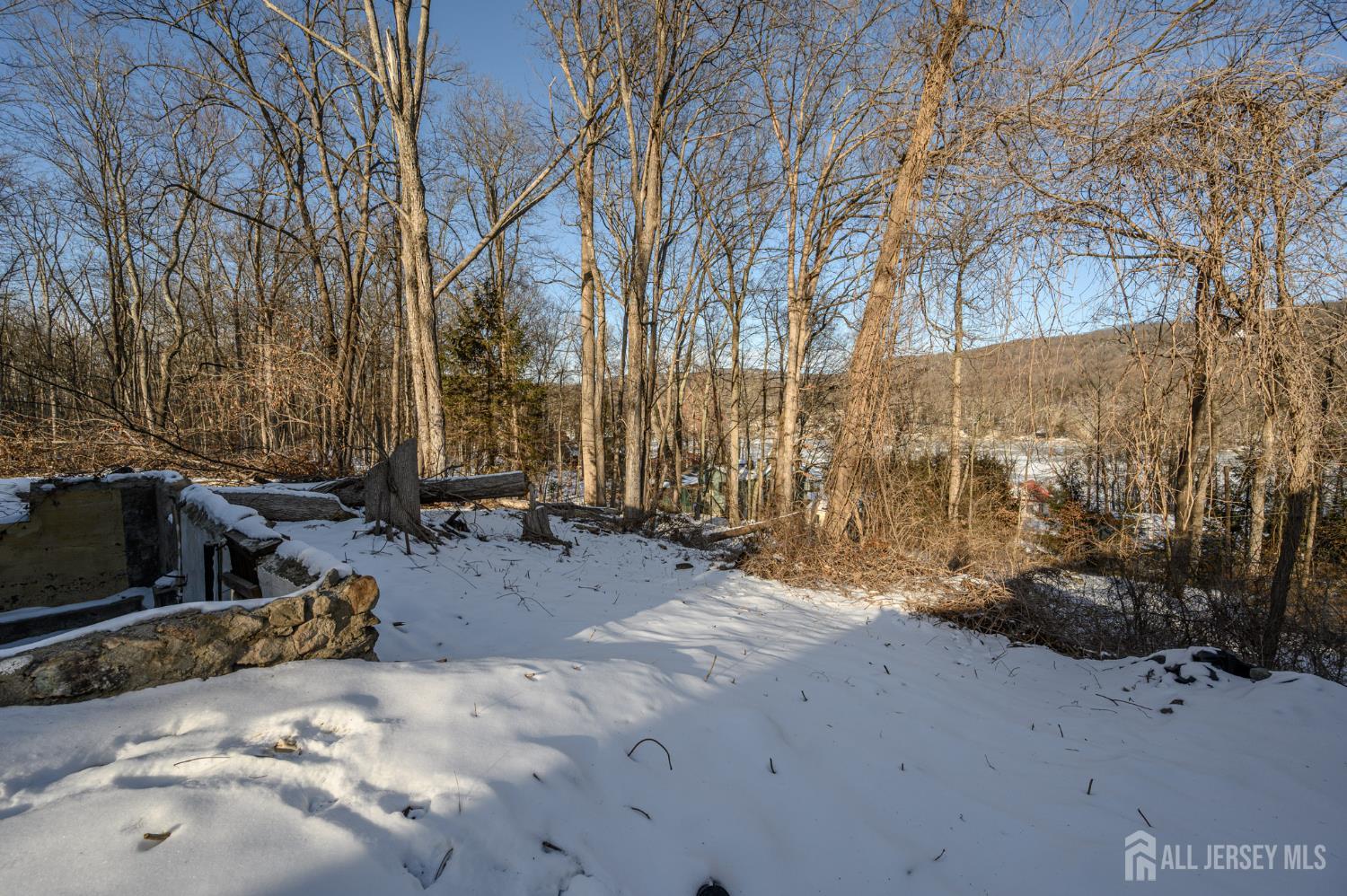 10 Flatbush Road Sussex, NJ 07461 - Photo 8 of 15 a backyard of a house with large trees and covered with wooden fence