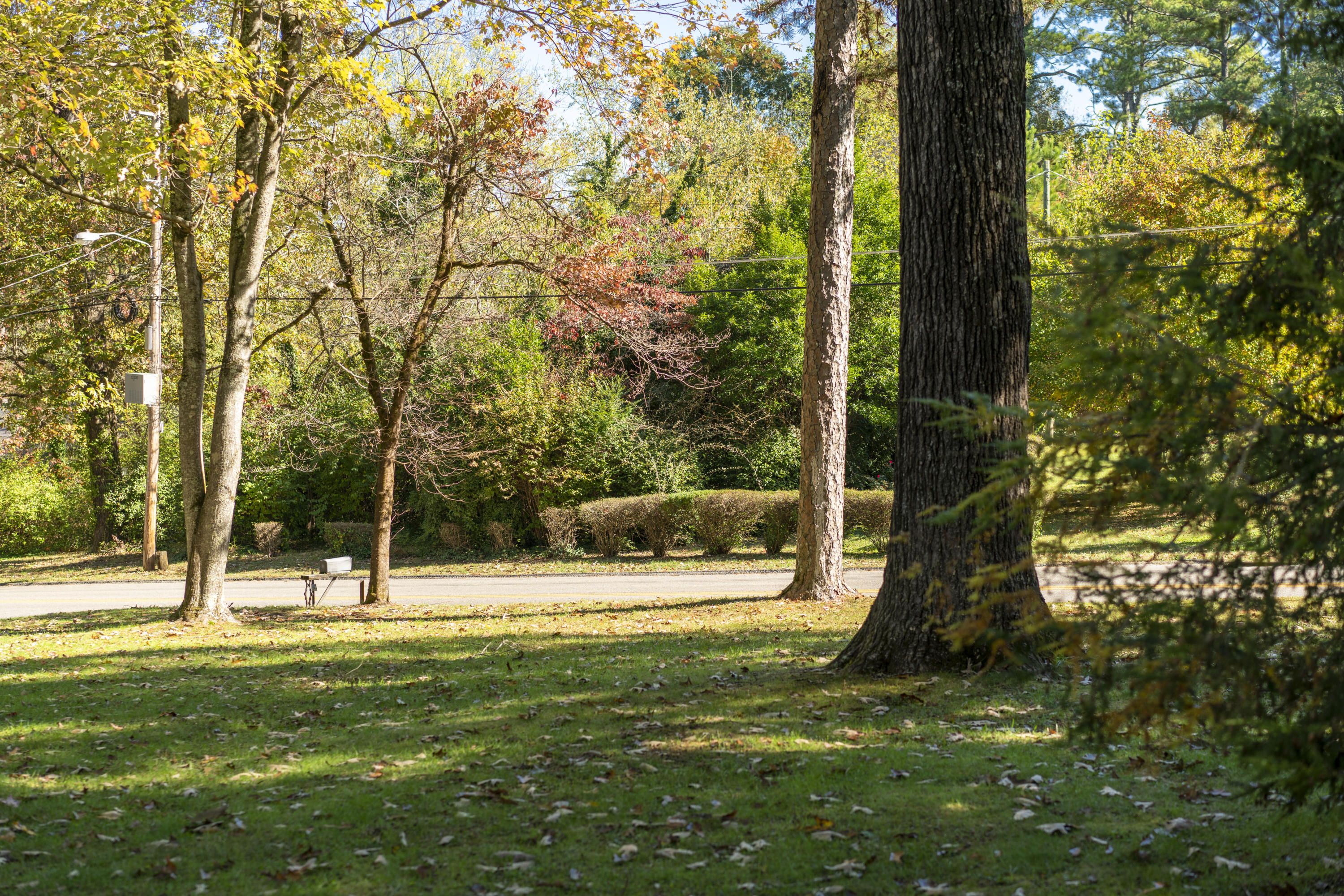 1011 Talley Road Chattanooga, TN 37411 - Photo 4 of 42 05A77D56-D34C-482C-9893-267B5AC5D10C