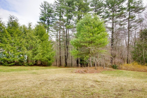41 Carlisle Road Acton, MA 01720 - Photo 29 of 29 Gallery Image 29