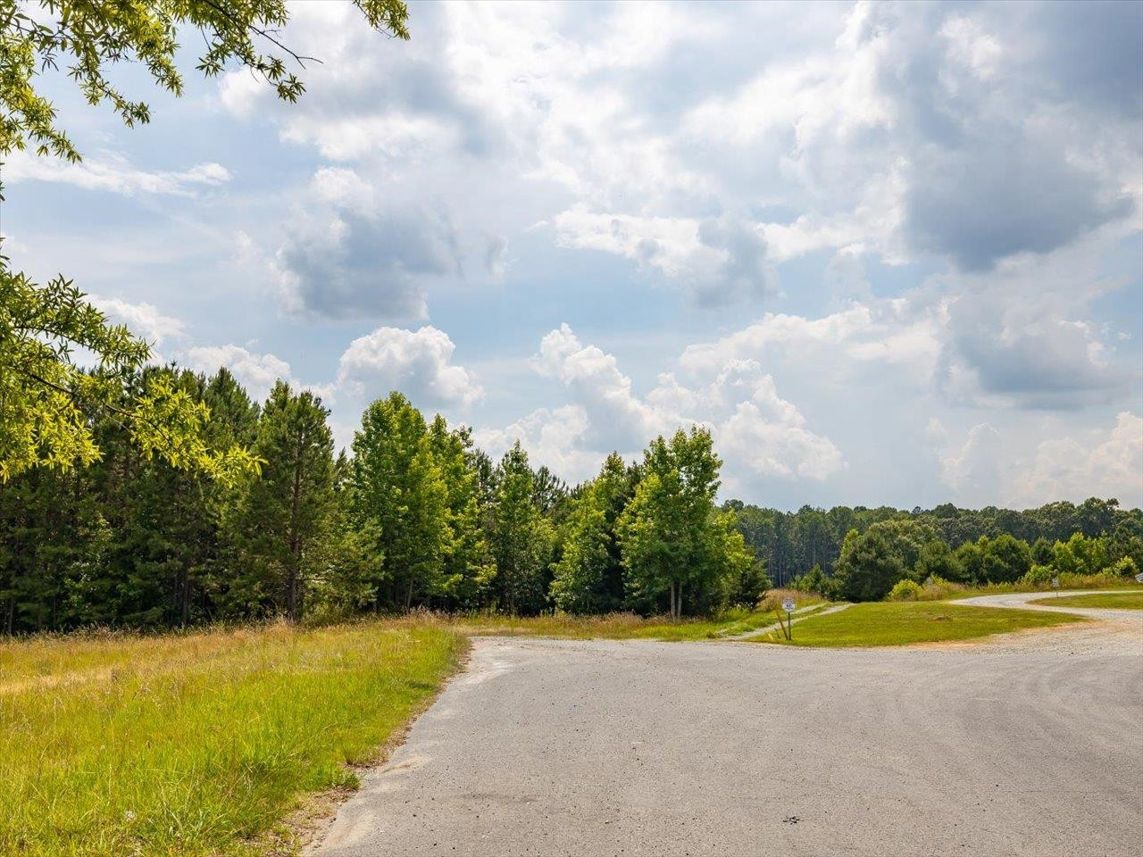 0 Old 421 Road Liberty, NC 27298 - Photo 18 of 23 Photo 18
