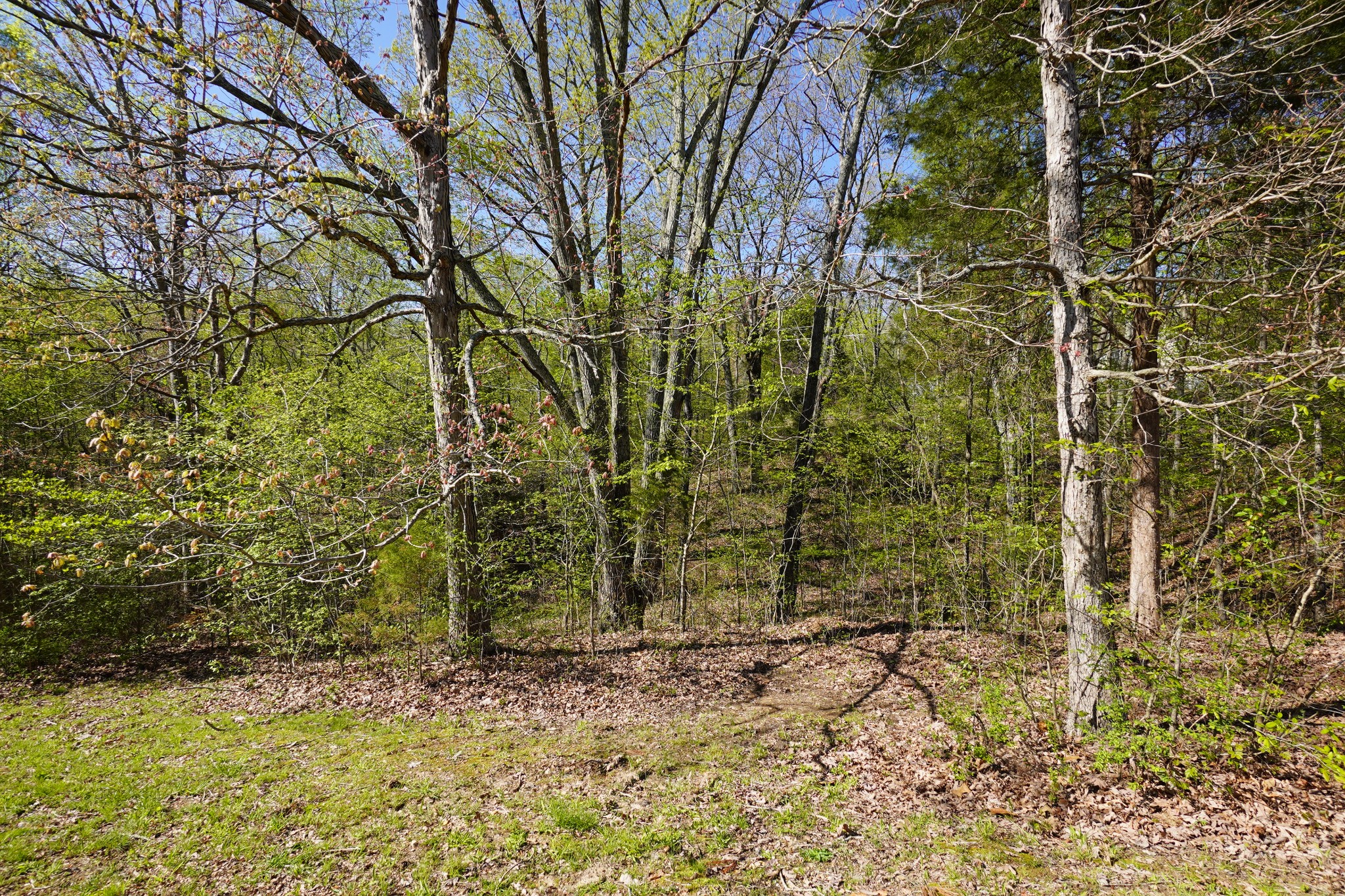 949 Pleasant Hill Road Dover, TN 37058 - Photo 14 of 32 Gallery Image 14
