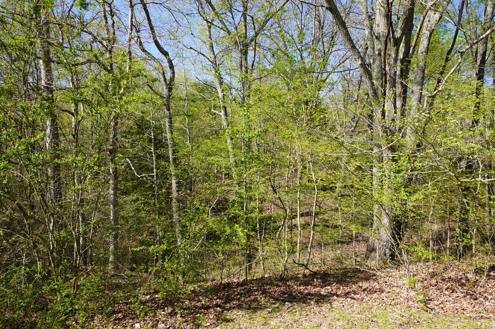 949 Pleasant Hill Road Dover, TN 37058 - Photo 17 of 32 Gallery Image 17