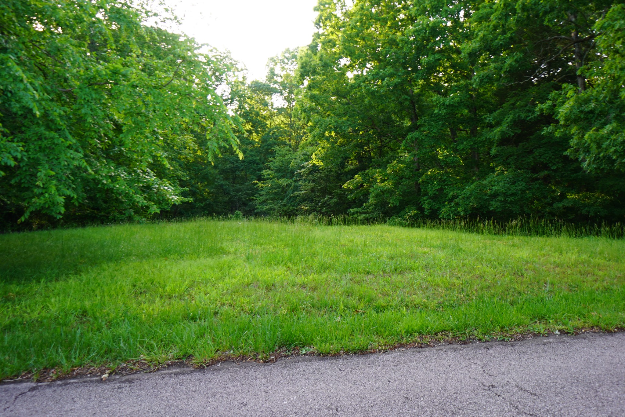 949 Pleasant Hill Road Dover, TN 37058 - Photo 26 of 32 Gallery Image 26