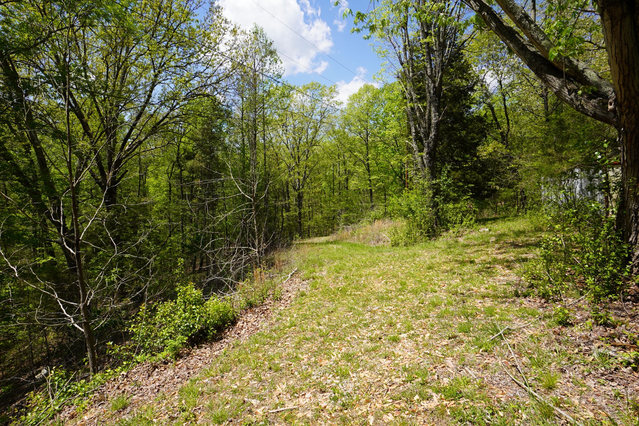 949 Pleasant Hill Road Dover, TN 37058 - Photo 8 of 32 Gallery Image 8