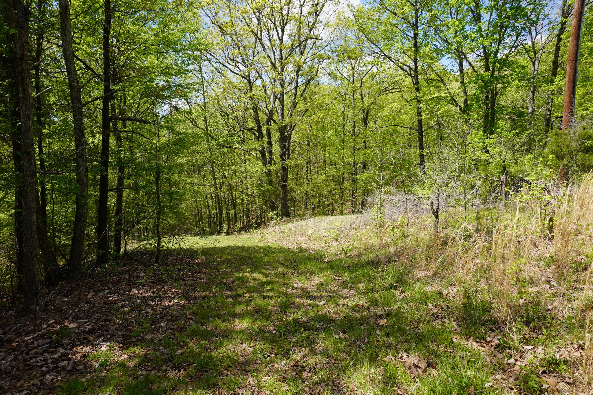 949 Pleasant Hill Road Dover, TN 37058 - Photo 9 of 32 Gallery Image 9