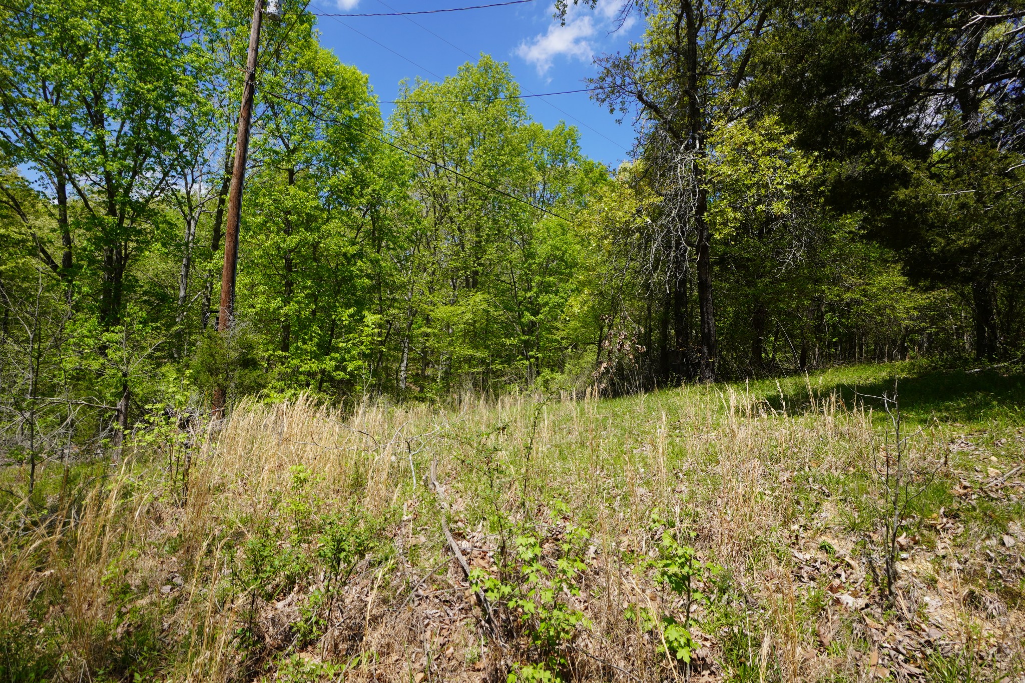949 Pleasant Hill Road Dover, TN 37058 - Photo 10 of 32 Gallery Image 10