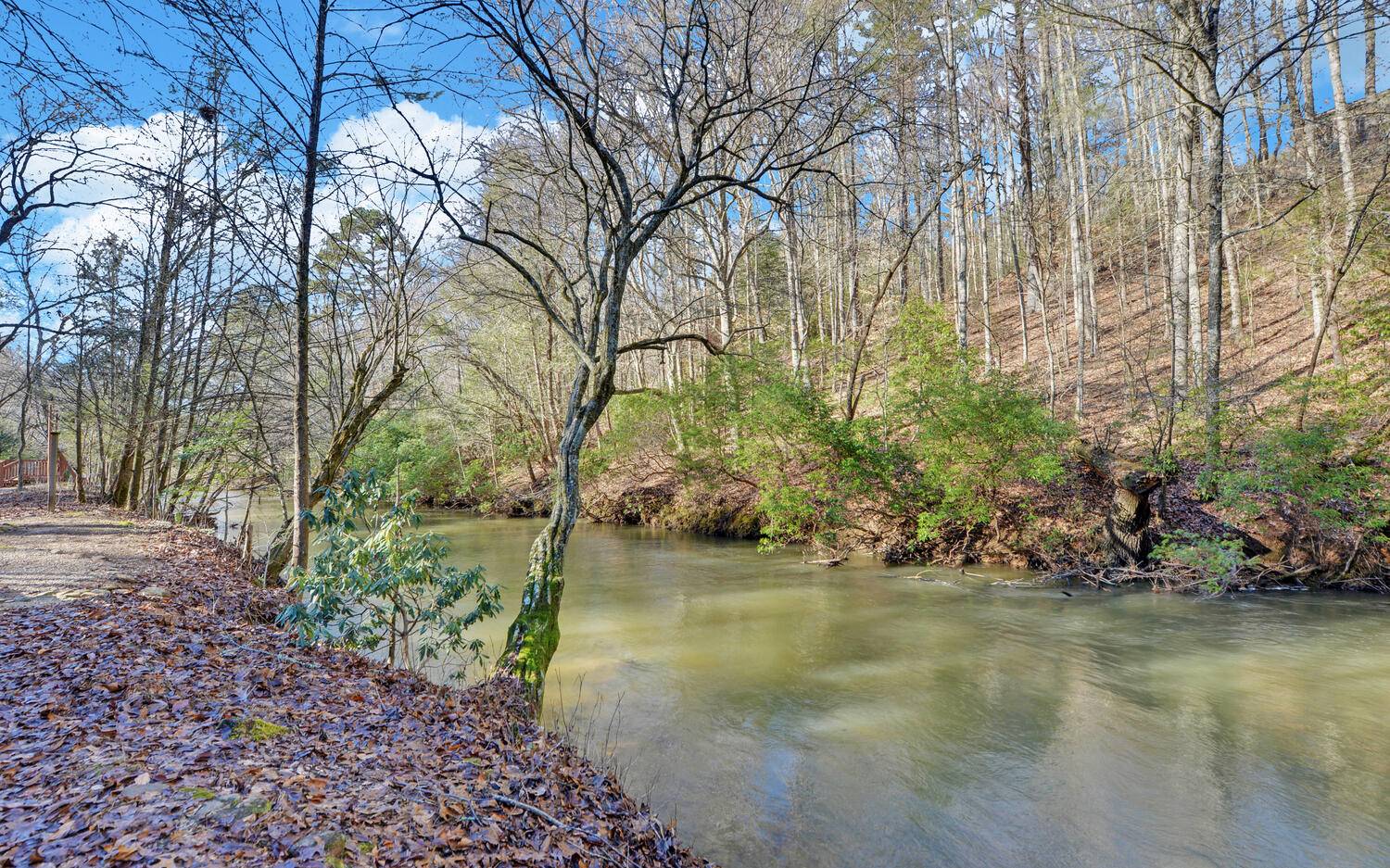 431 Trillium Road Suches, GA 30572 - Photo 9 of 26 Additional View