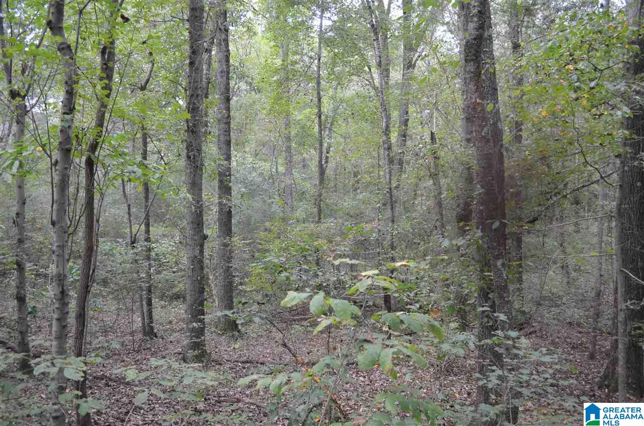 3916 Bethel Road Pinson, AL 35126 - Photo 23 of 29