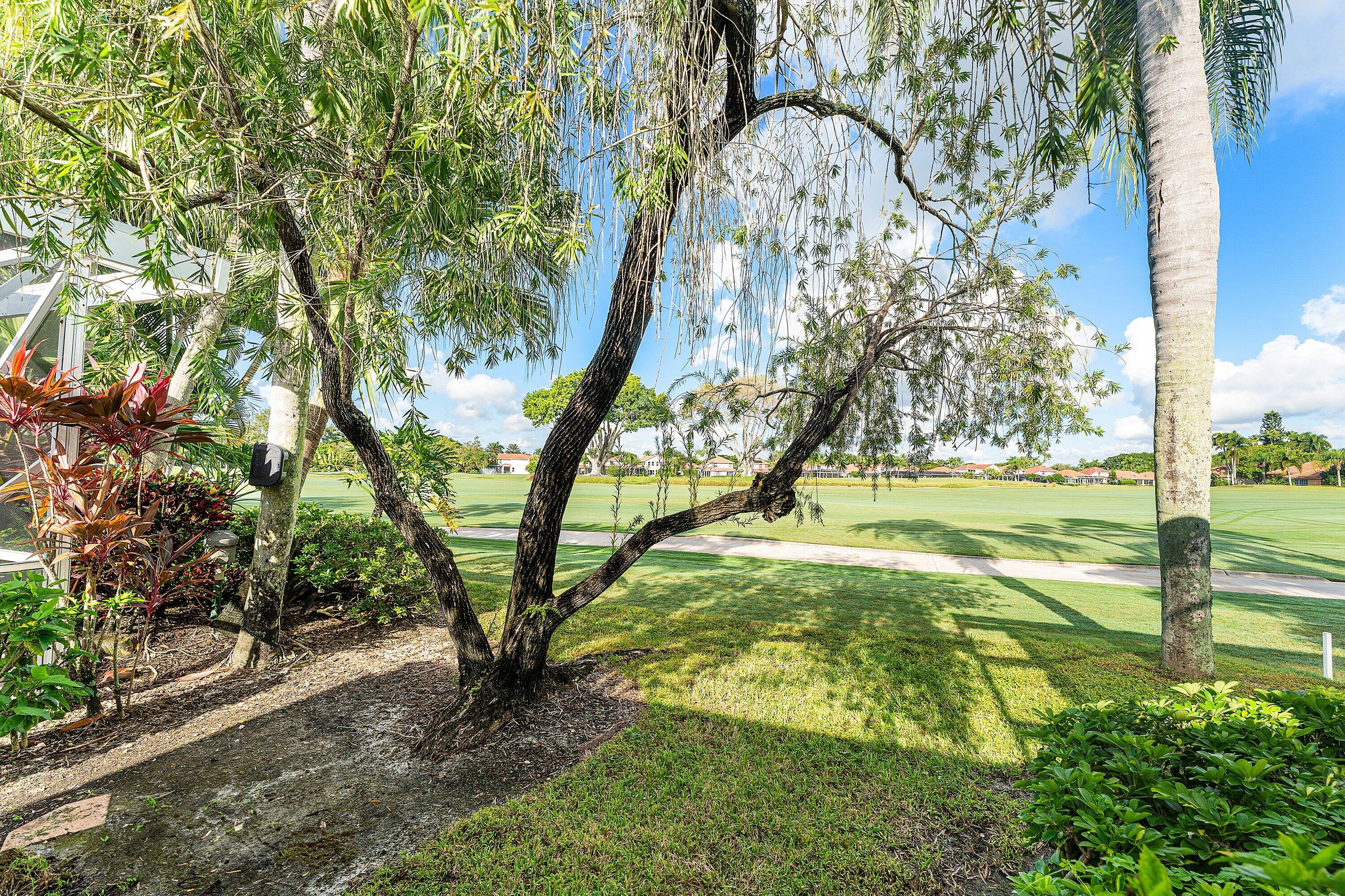 8217 Quail Meadow Way West Palm Beach, FL 33412 - Photo 30 of 38 a view of yard with tree