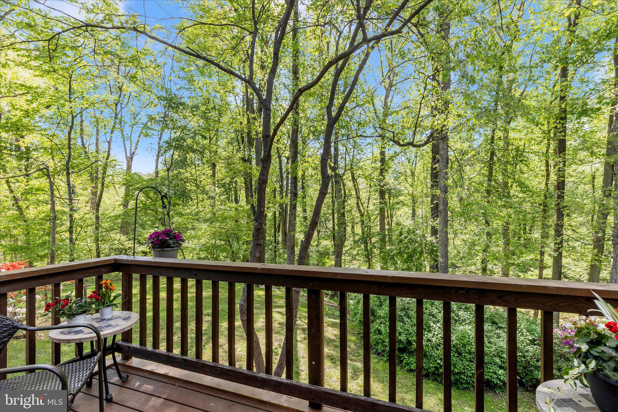 7946 Helmart Drive Laurel, MD 20723 - Photo 18 of 50 gorgeous view from balcony