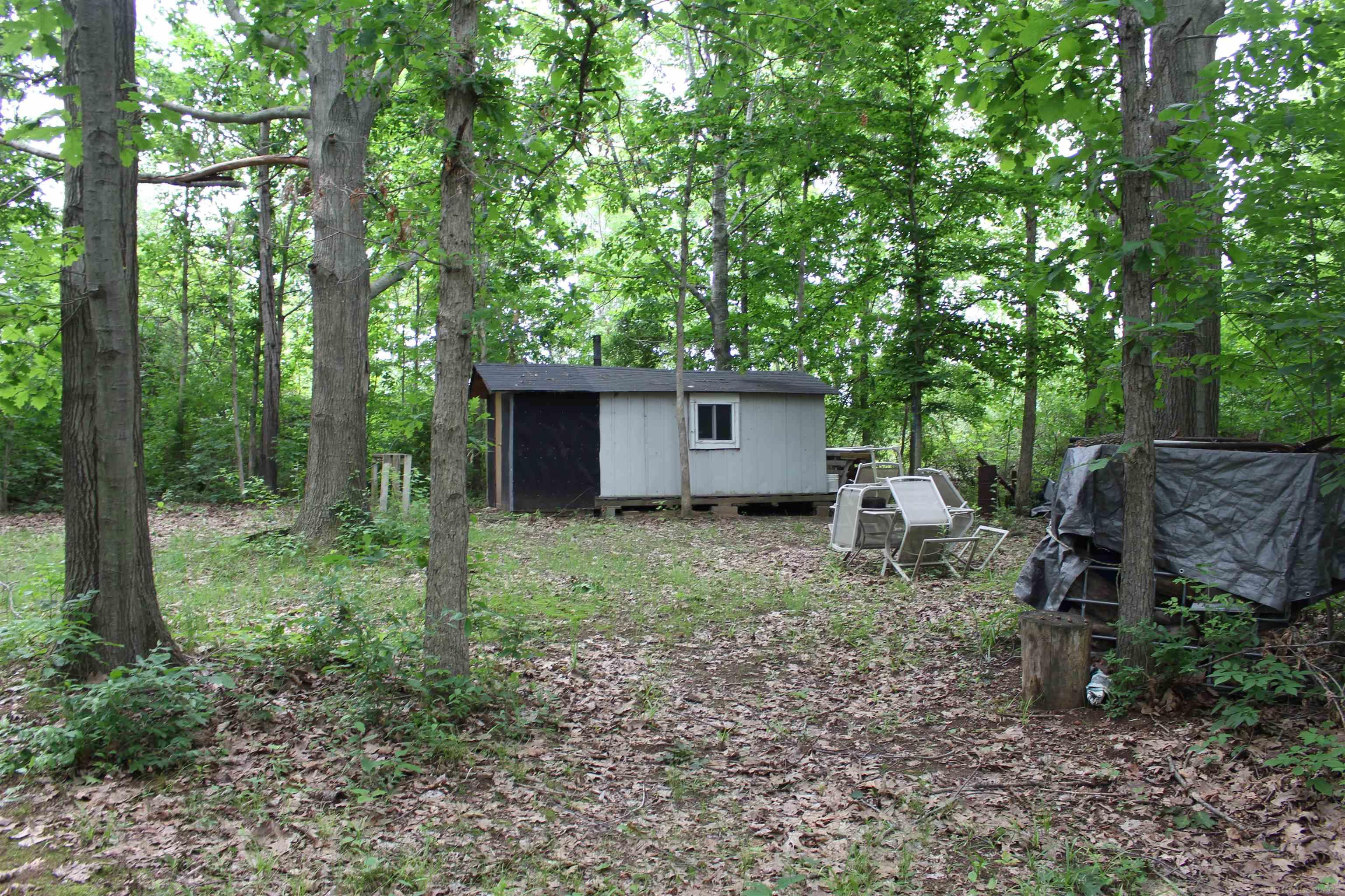 Tbd West Burnside Road Otter Lake, MI 48464 - Photo 3 of 6