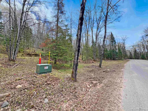 $21,500 | 176 East Lake Emily Road, Crystal Falls, MI 49920