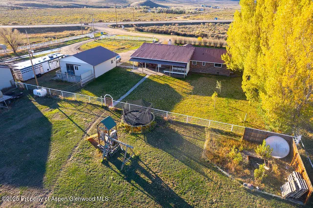 a view of a large trees