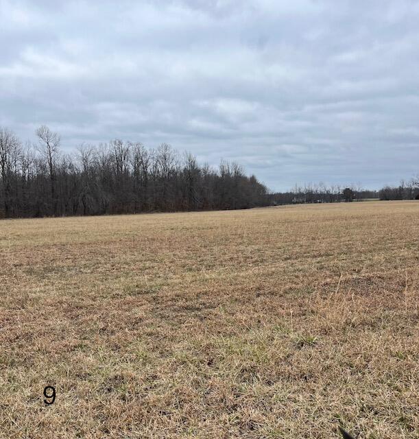 9 Dug Hill Road Brodhead, KY 40409 - Photo 1 of 5 IMG_1305