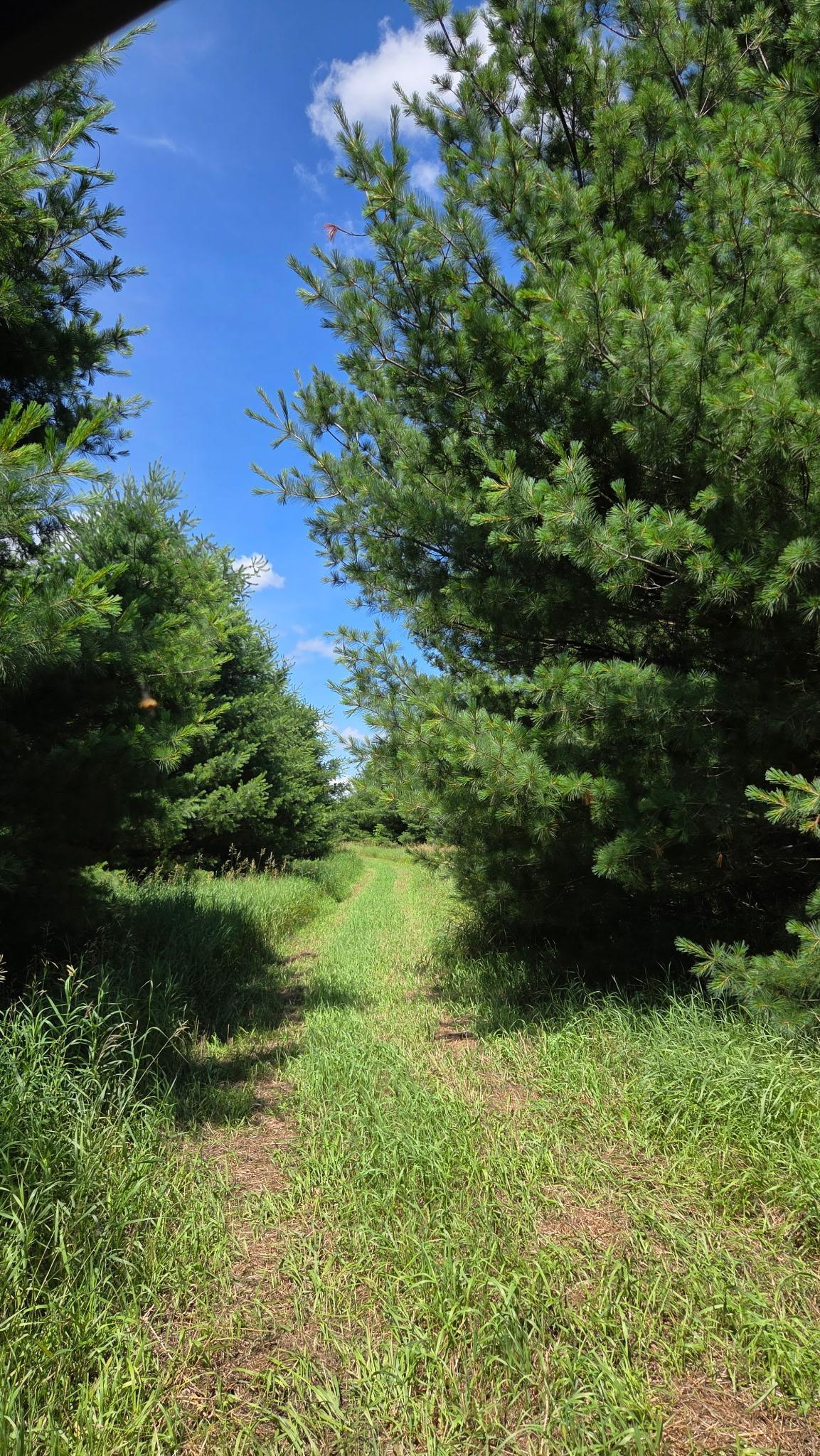766 X 14th Avenue Almena, WI 54805 - Photo 61 of 63 Gallery Image 61