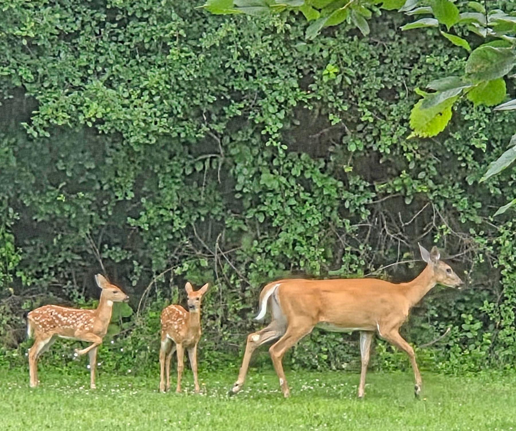 1048 85th Avenue Amery, WI 54001 - Photo 12 of 67