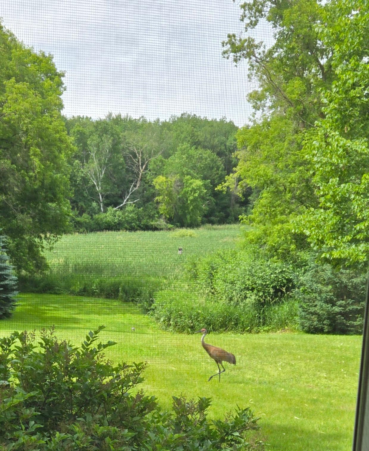 1048 85th Avenue Amery, WI 54001 - Photo 63 of 67