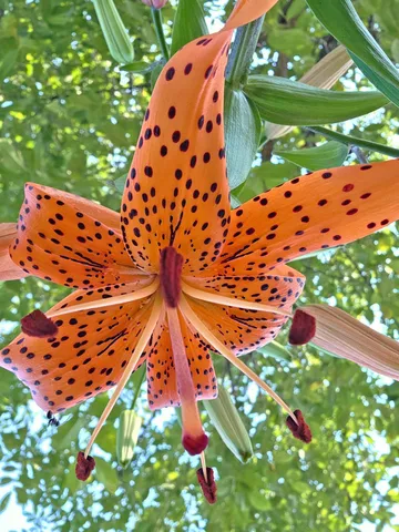 $474,000 | 1048 85th Avenue, Amery, WI 54001