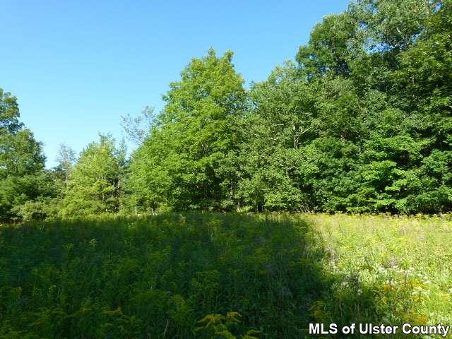 0 O'Hara Road Freehold, NY 12431 - Photo 11 of 13 Photo 11
