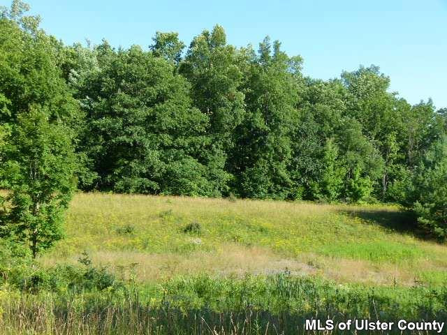 0 O'Hara Road Freehold, NY 12431 - Photo 12 of 13 Photo 12