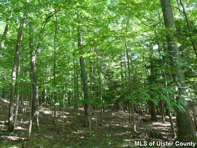 0 O'Hara Road Freehold, NY 12431 - Photo 8 of 13 Photo 8