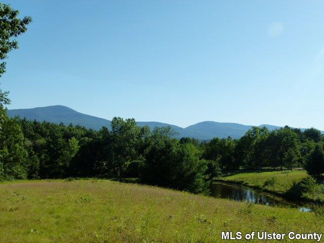 0 O'Hara Road Freehold, NY 12431 - Photo 9 of 13 Photo 9