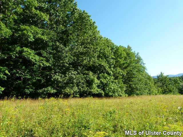 0 O'Hara Road Freehold, NY 12431 - Photo 10 of 13 Photo 10