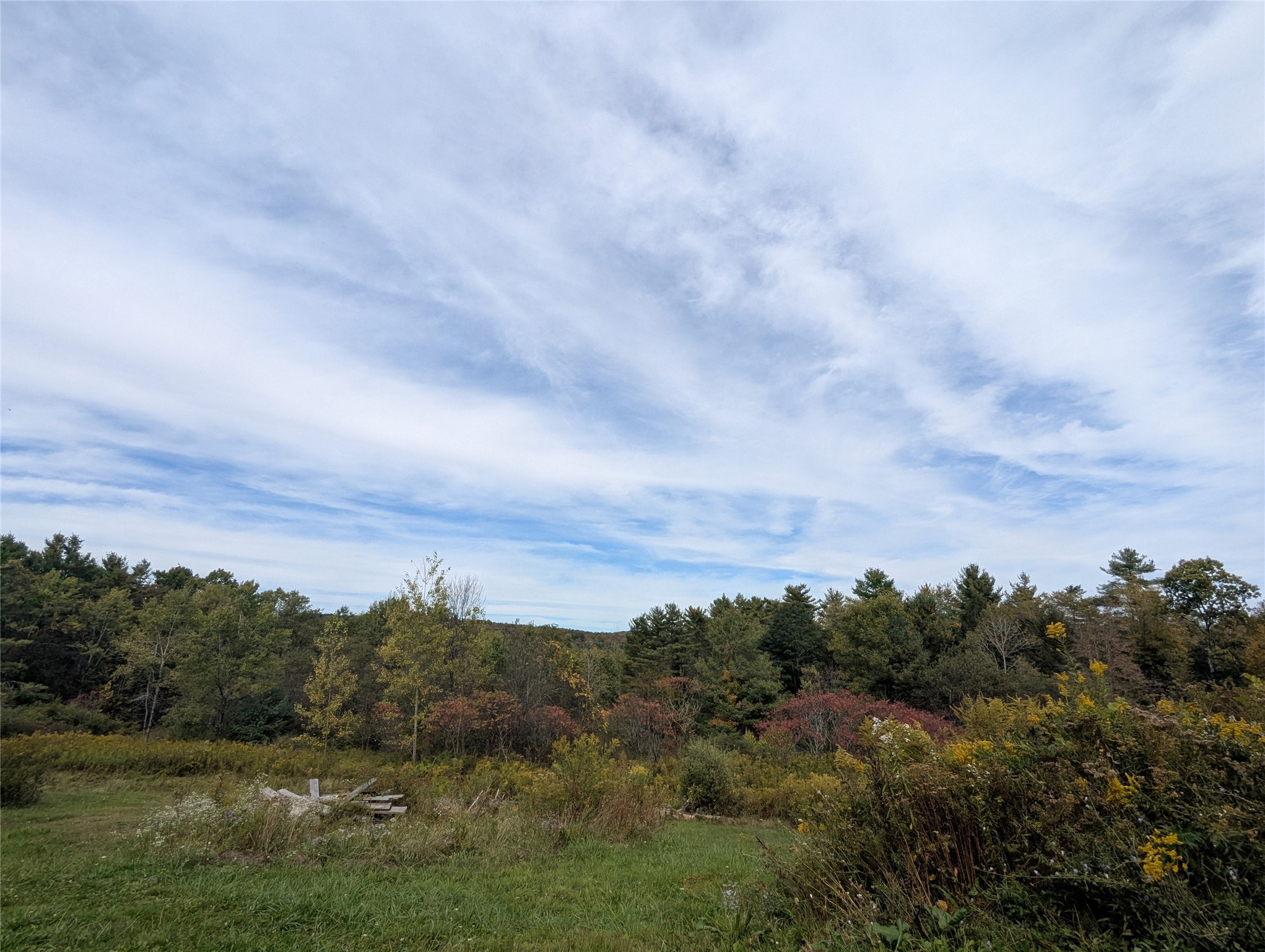 446 Conklin Hill Road Chenango Forks, NY 13746 - Photo 2 of 16