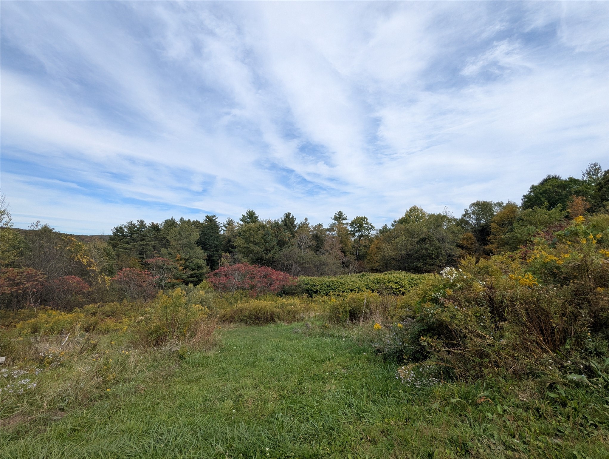 446 Conklin Hill Road Chenango Forks, NY 13746 - Photo 3 of 16