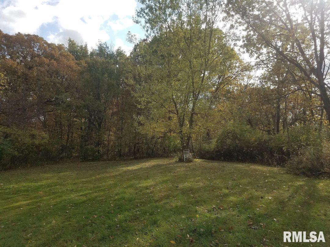 27812 North Karrick Road Glasford, IL 61533 - Photo 8 of 37
