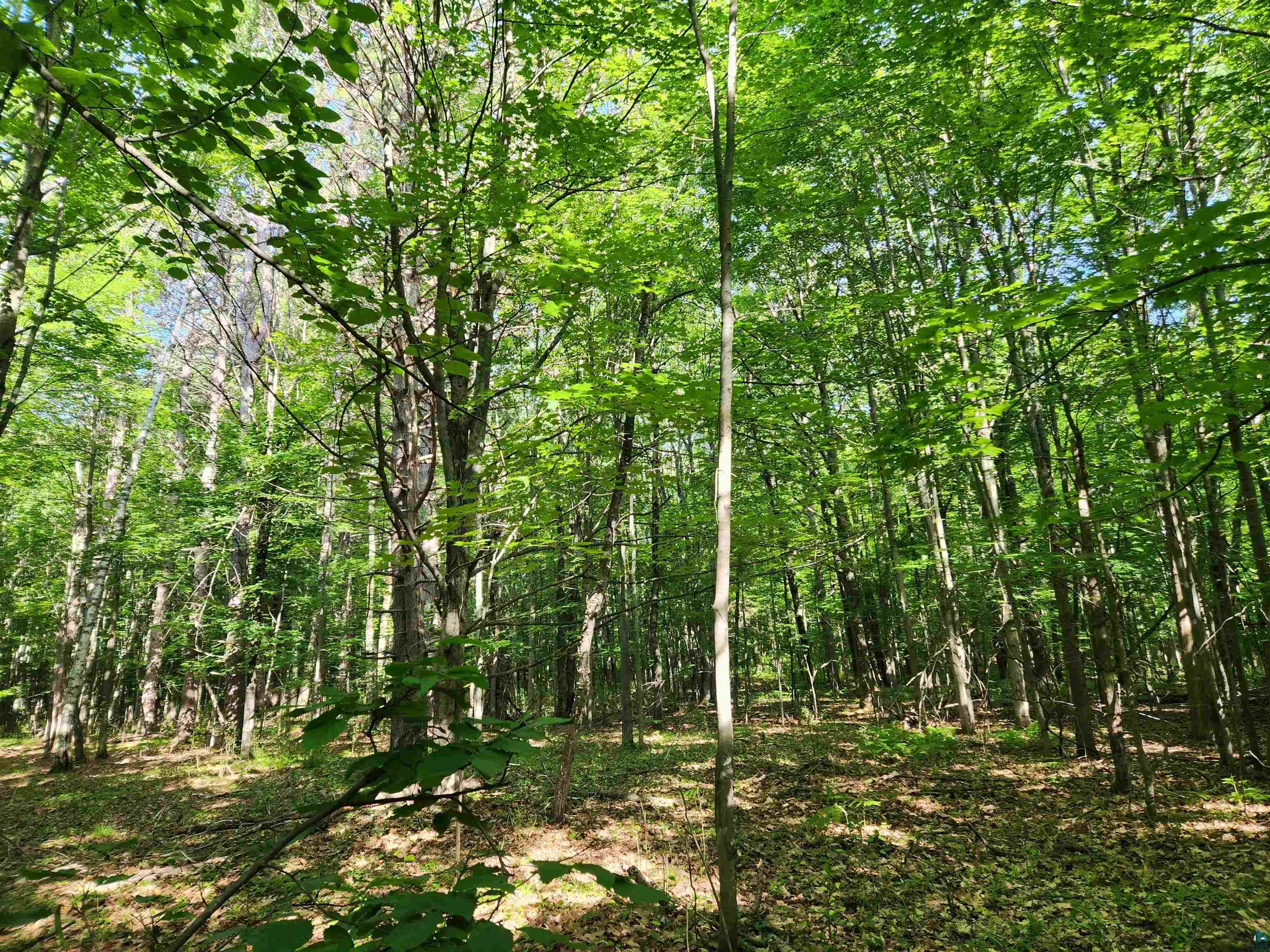 30-xxx Sky Road Washburn, WI 54891 - Photo 2 of 6