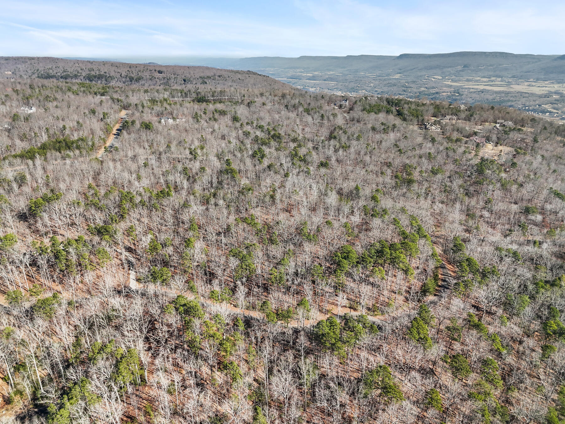 0 Tall Tree Trail, Unit 406 Dunlap, TN 37327 - Photo 1 of 22 dji_20260106014044_0580_d